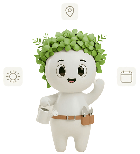 Adjusted to your location